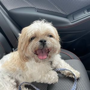 Meet your Posher, Thomas